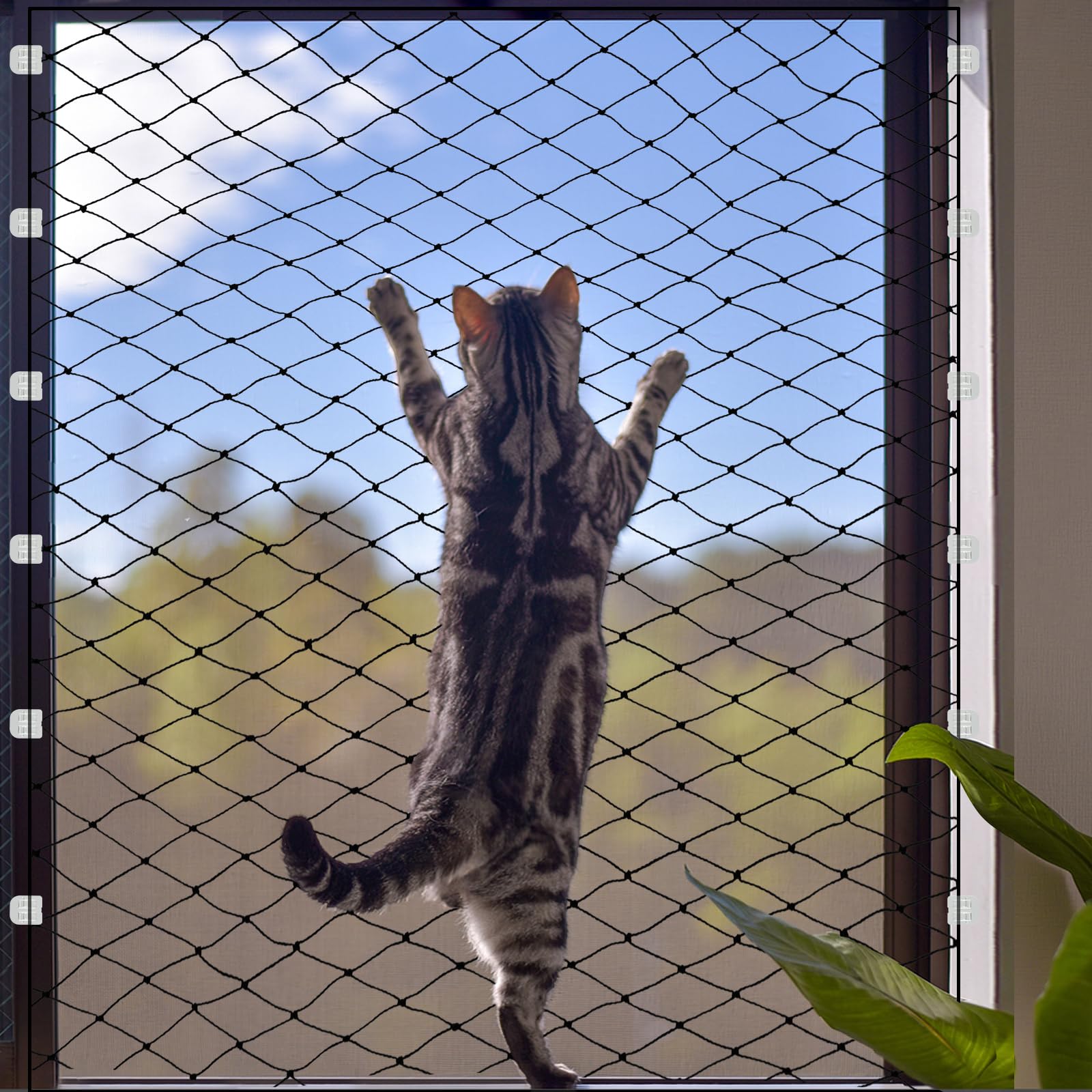 Filet pour chat pour balcon - Sans perçage - Crochet adhésif à encre - Colle en silicone et serre-câbles en nylon - 3 x 5 m - Renforce sans perçage et résistant aux intempéries - Facile à utiliser