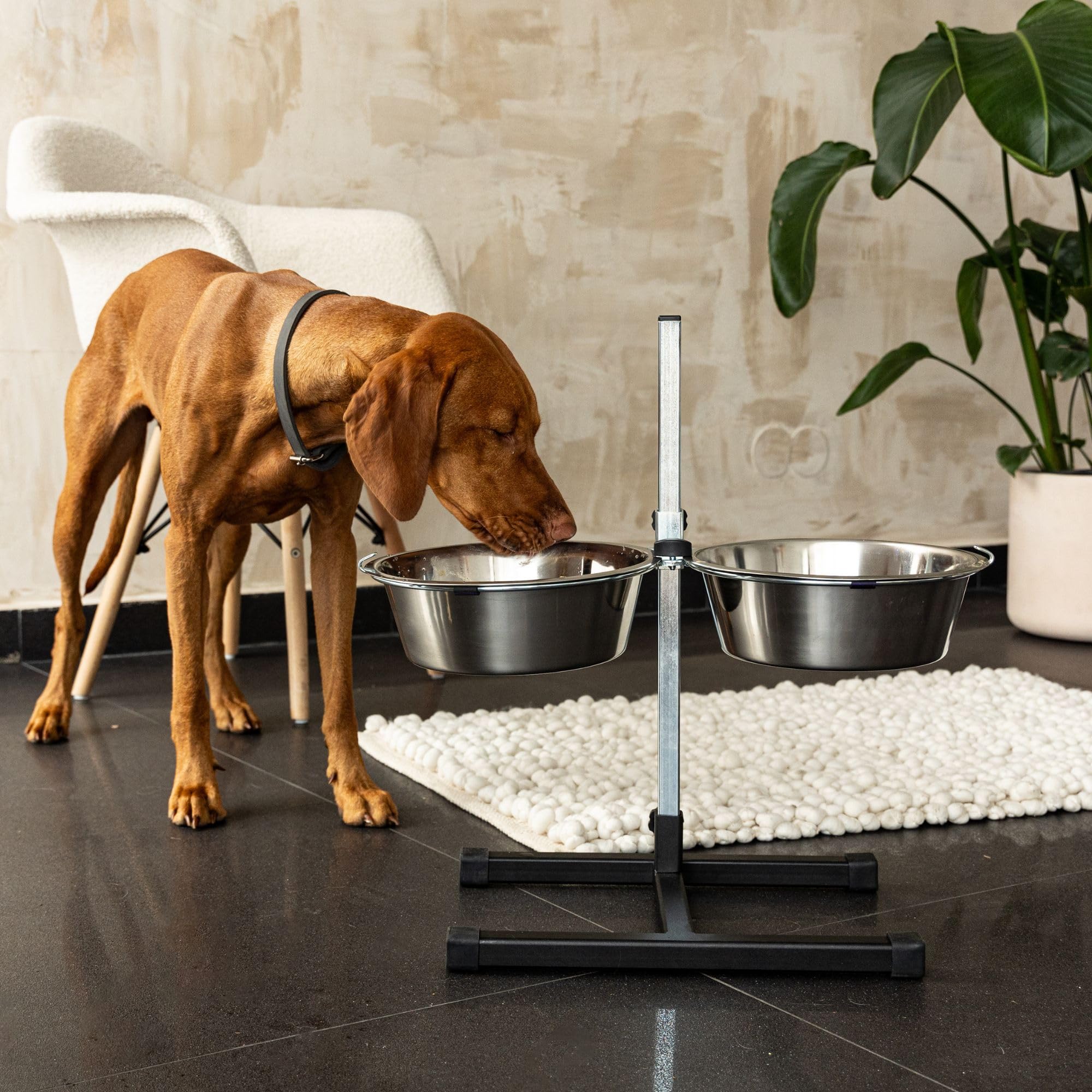 Dingo 17121 - Juego de 2 cuencos para perros en un soporte ajustable, 2 cuencos para perros de 2,83 l