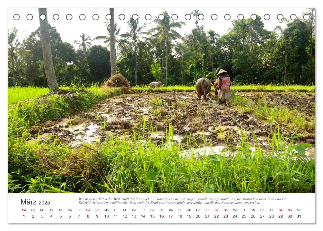 JAVA Natur pur (Tischkalender 2025 DIN A5 quer), CALVENDO Monatskalender: Java, eine der vier großen Sundainseln, lockt Besucher aus aller Welt an. (CALVENDO Natur)