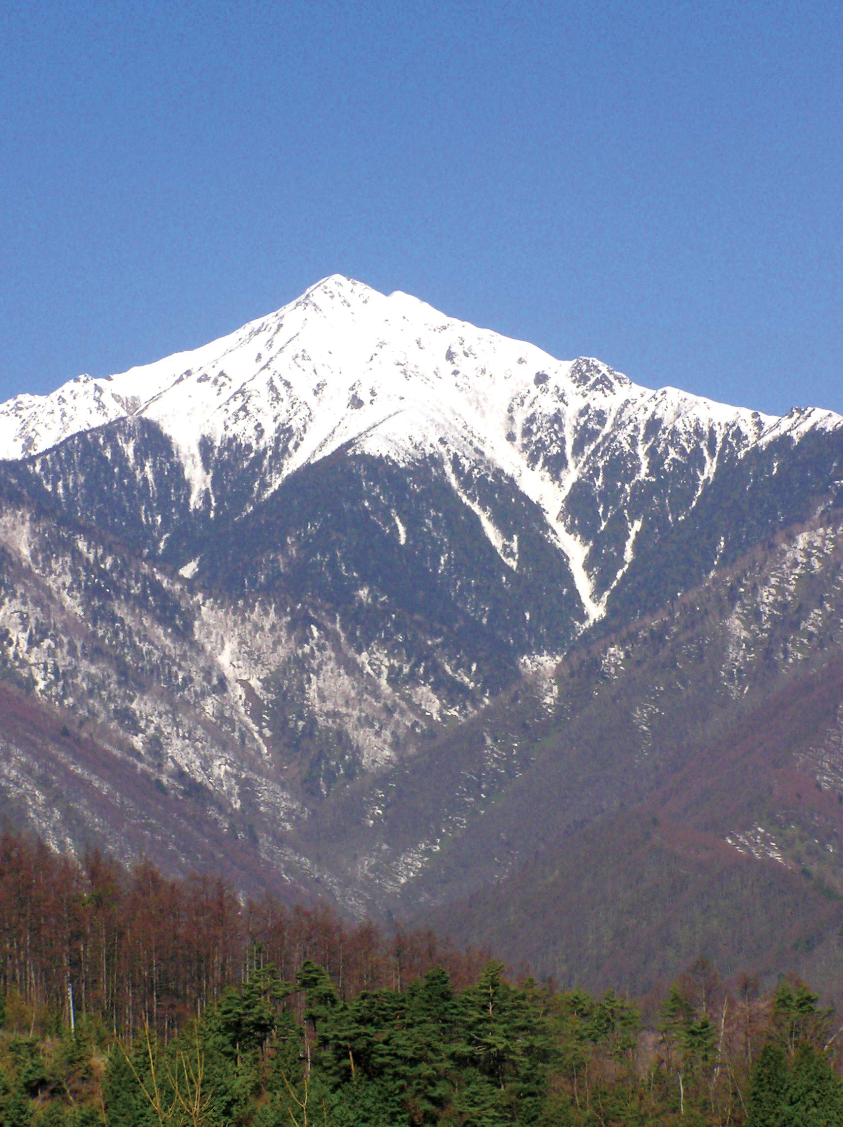 信州安曇野 天然水あずみ 500ml×48本