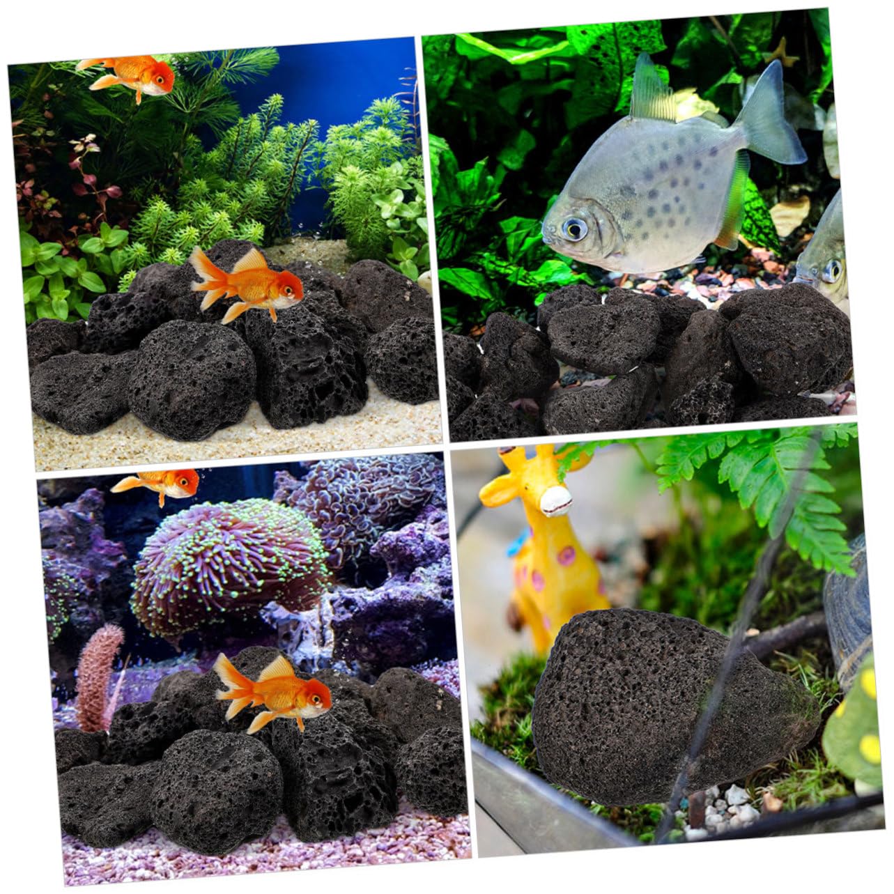 BESPORTBLE 1bag Volcanic Rocks Decoration for Aquariums and Natural Volcanic for Unique Home Decor Bag of High Hardness Landscaping Stones for Fish Tanks and Office Displays