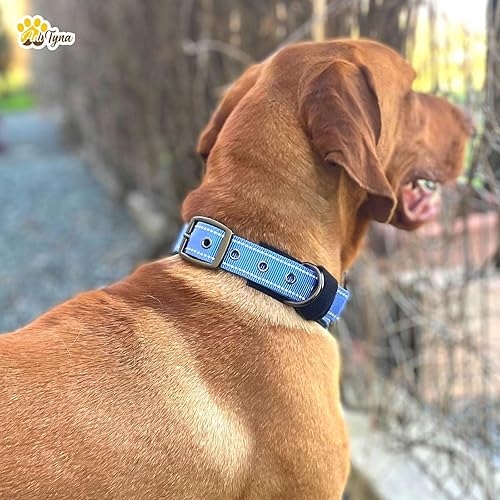 Miniatura 4 de Juego de correa y collar de doble asa azul para perros grandes