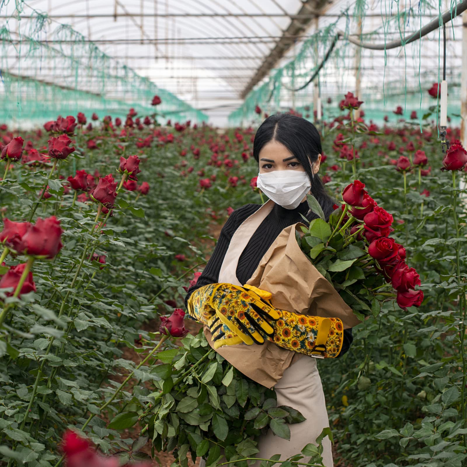 Guanti da giardinaggio per donne e uomini, guanti da giardino a prova di spine, per giardinaggio, guanti da lavoro per potatura di rose, guanti da lavoro in pelle (grandi, girasole)