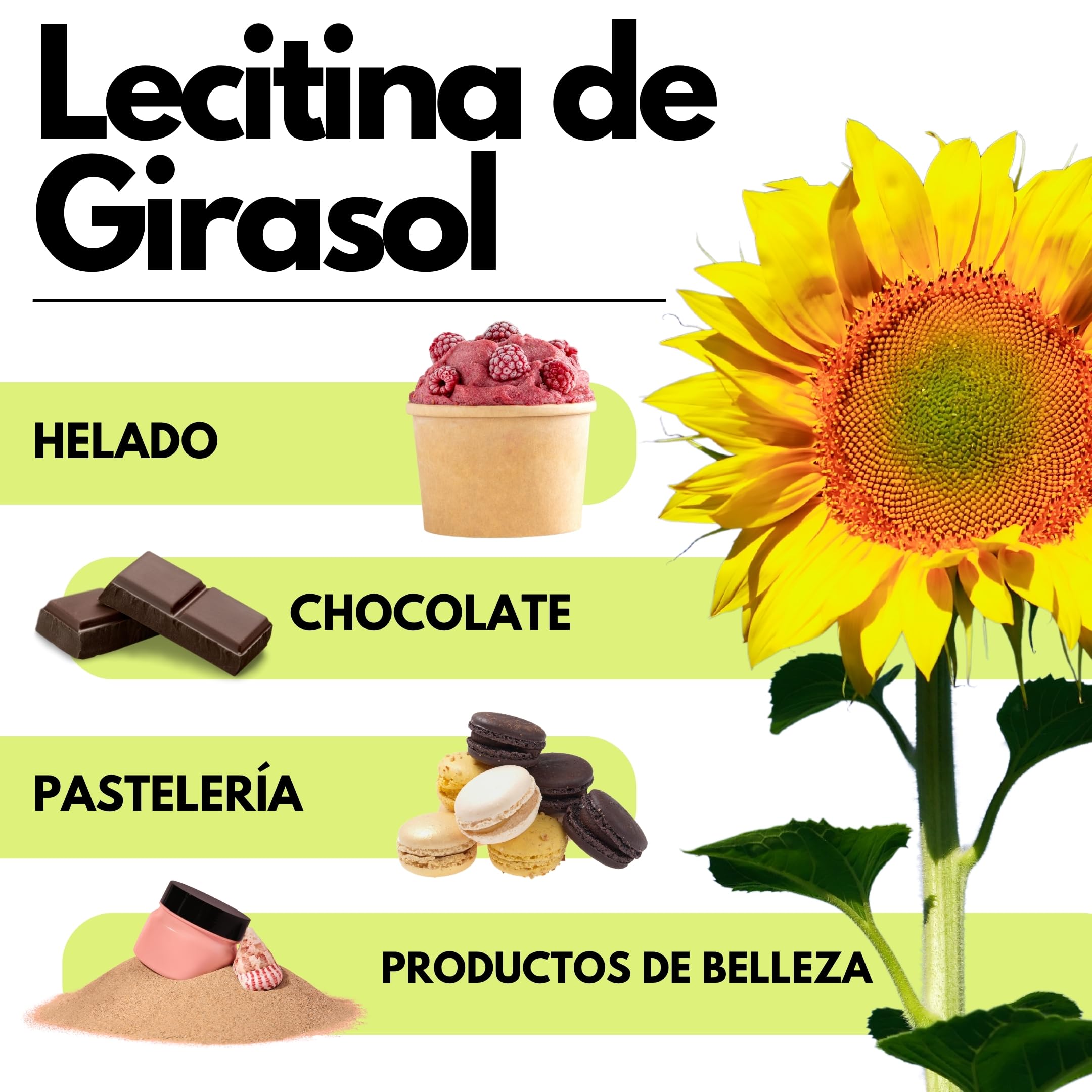 SaporePuro Lecitina de Girasol en Polvo 100 g – Emulsionante Natural SIN GLUTEN