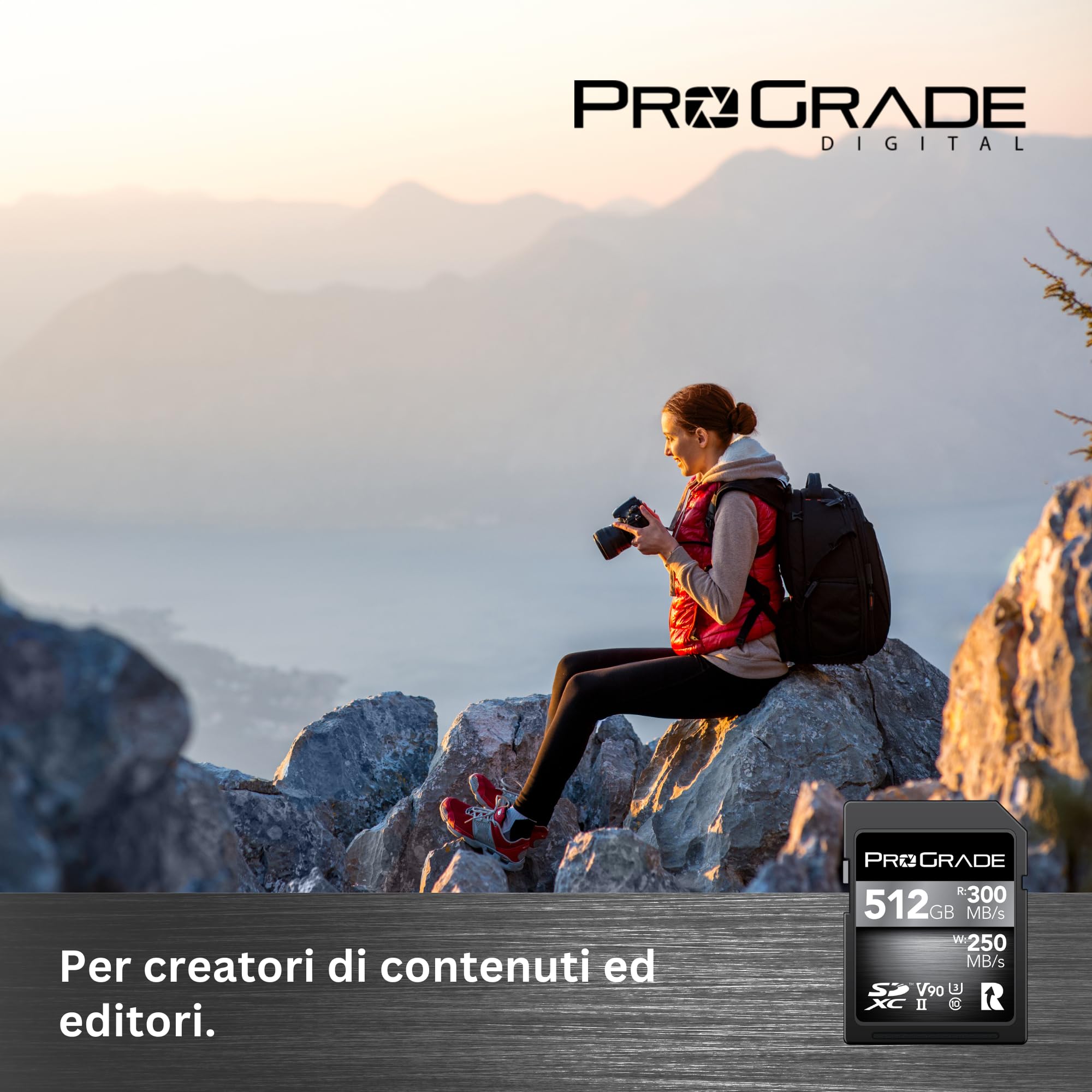 Scheda di memoria ProGrade Digital SDXC UHS-II V90 300R (512GB)