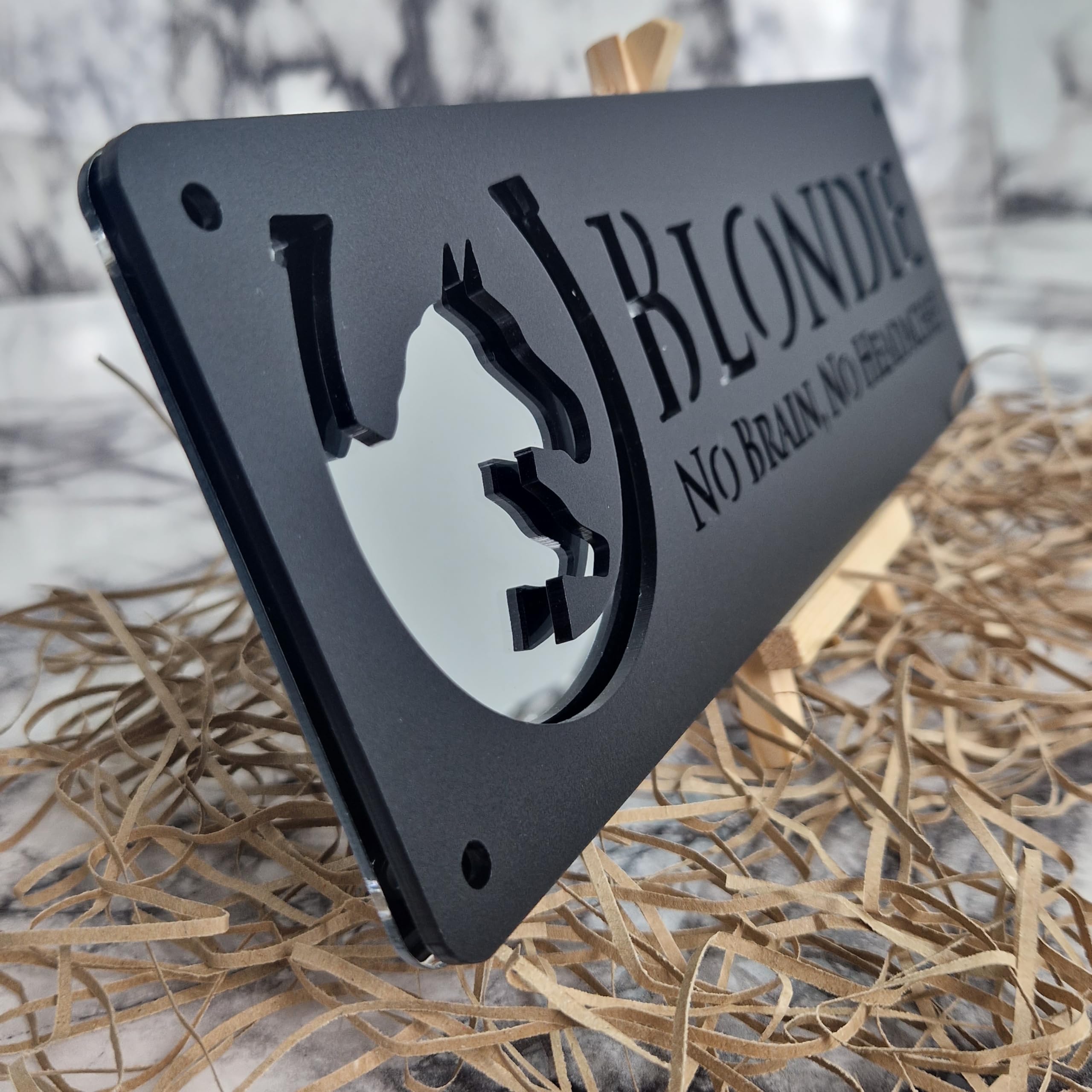 Silver Mirror and Black Personalised Horse stable Pony laser cut name door plate sign (L5-Mum and Foal)