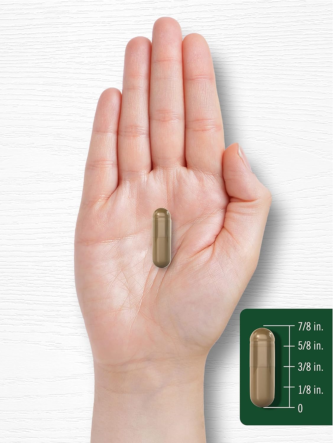 Carlyle Fennel Seed 480mg | 200 Capsules | Herbal Supplement | Non-GMO