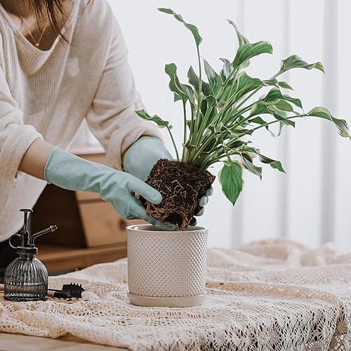Vista 43 de Maceta de cerámica de 8 pulgadas: maceta de cerámica con orificio de drenaje y platillo para plantas de interior y exterior, maceta con bandeja