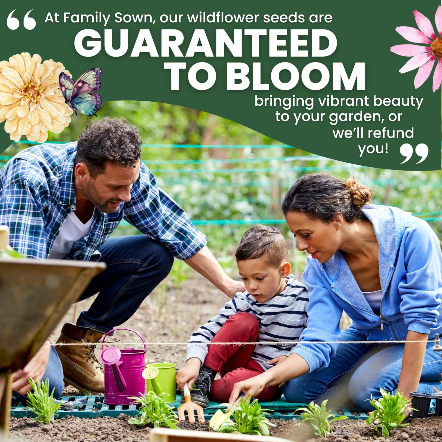 All Annual Quick Blooming Mix - 67,000 Flower Seeds for Planting - Wildflower Mix - Large 4 Ounce Packet