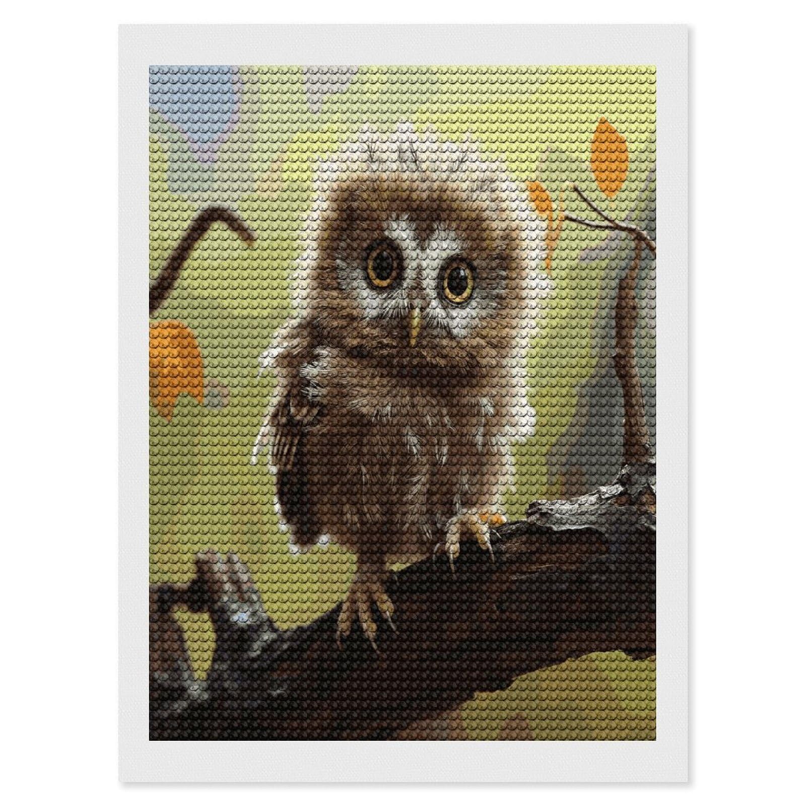 FekiLoot Real Cute Owls Diamond Art Kits for Adults Diamond Painting Kits for Beginners DIY Diamond Art Kits Round Full Drill Diamond Dot Gem Painting for Home Wall Decor Gift 12"x16"