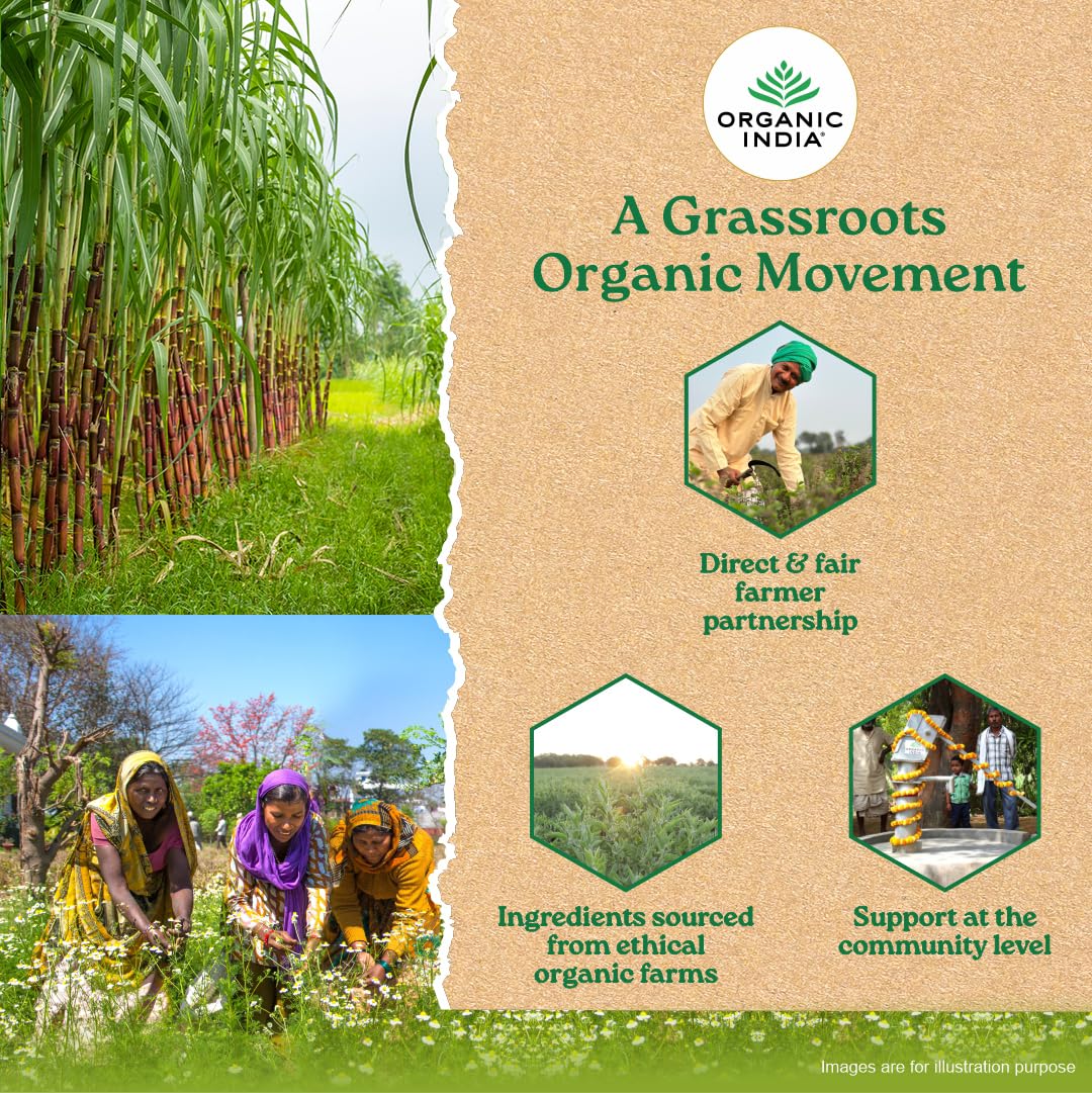A TATA Product - Organic India Desi Khandsari Sugar, Certified Organic Unrefined Brown Sugar, Made from Organic Sugarcane, Sulphur Free Process, Hygienically Packed, 500 g product image 8