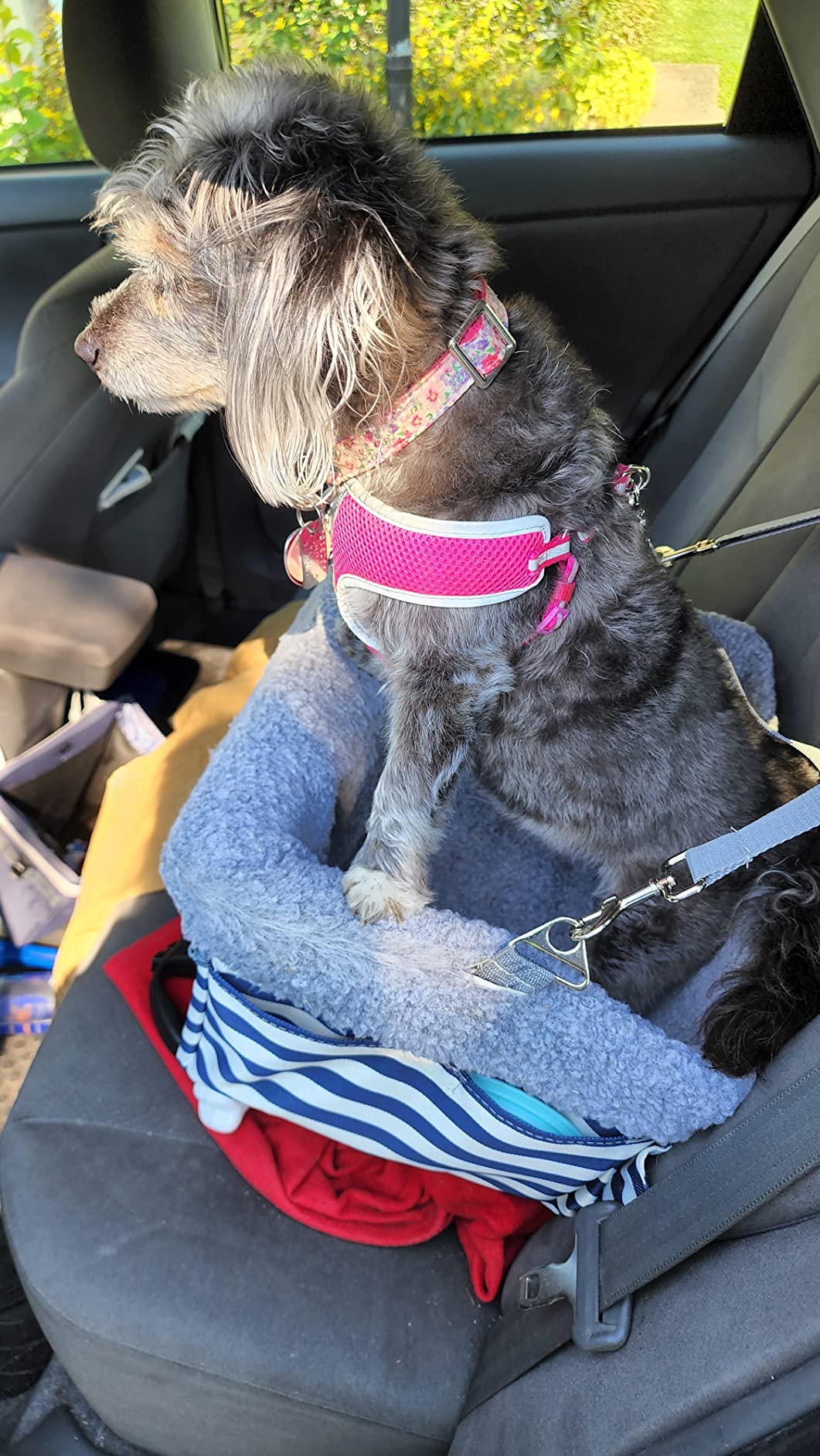 11/mo Finance MARSLABO DogCarBoosterSeat Upgrade Metal Frame