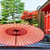 Estudio de Japón con voz (versión paga)