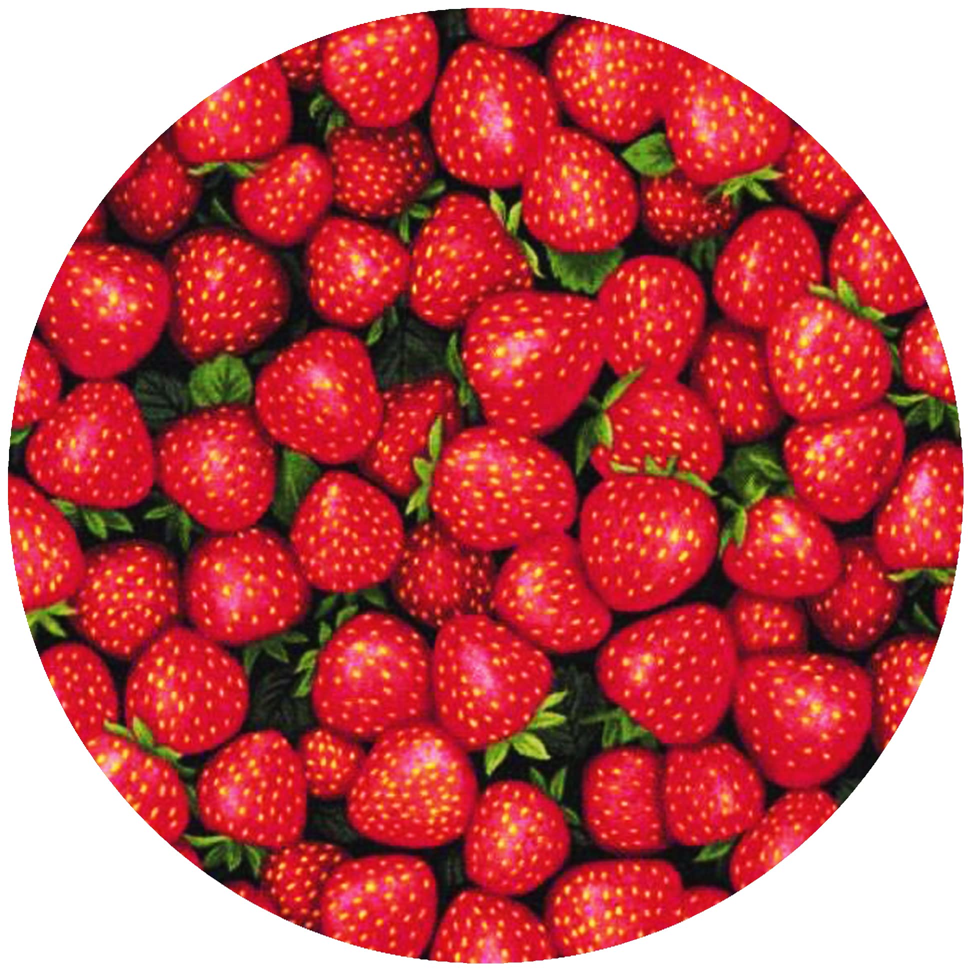 ANDRÉAS Silicone Trivet, Strawberry, 8 Inch