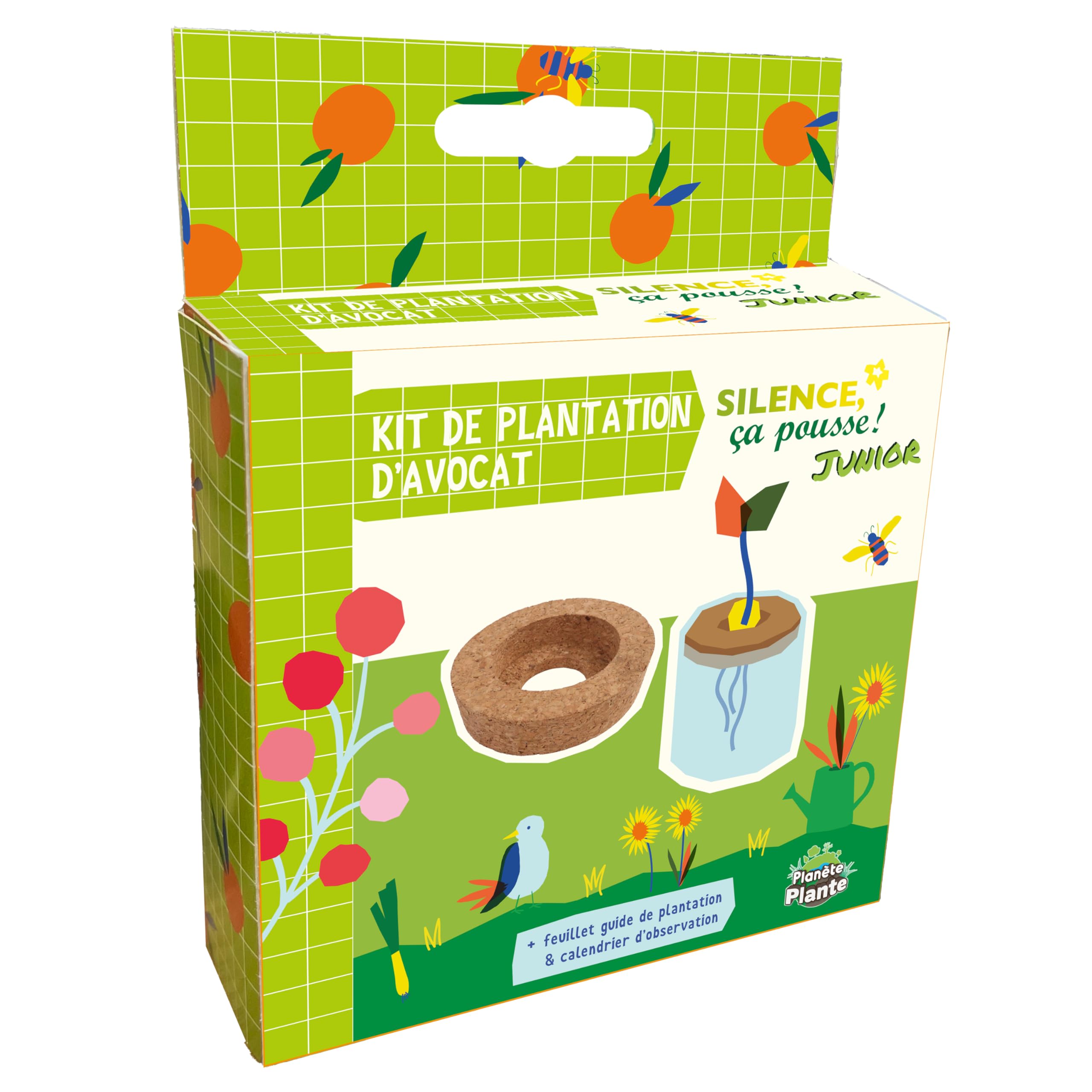 PLANÈTE PLANTE Kit Piantagione Avocado Per Bambini +3 Anni – Gioco Creativo Da Giardino Con Sughero - 2