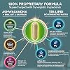 aSquared Nutrition 5