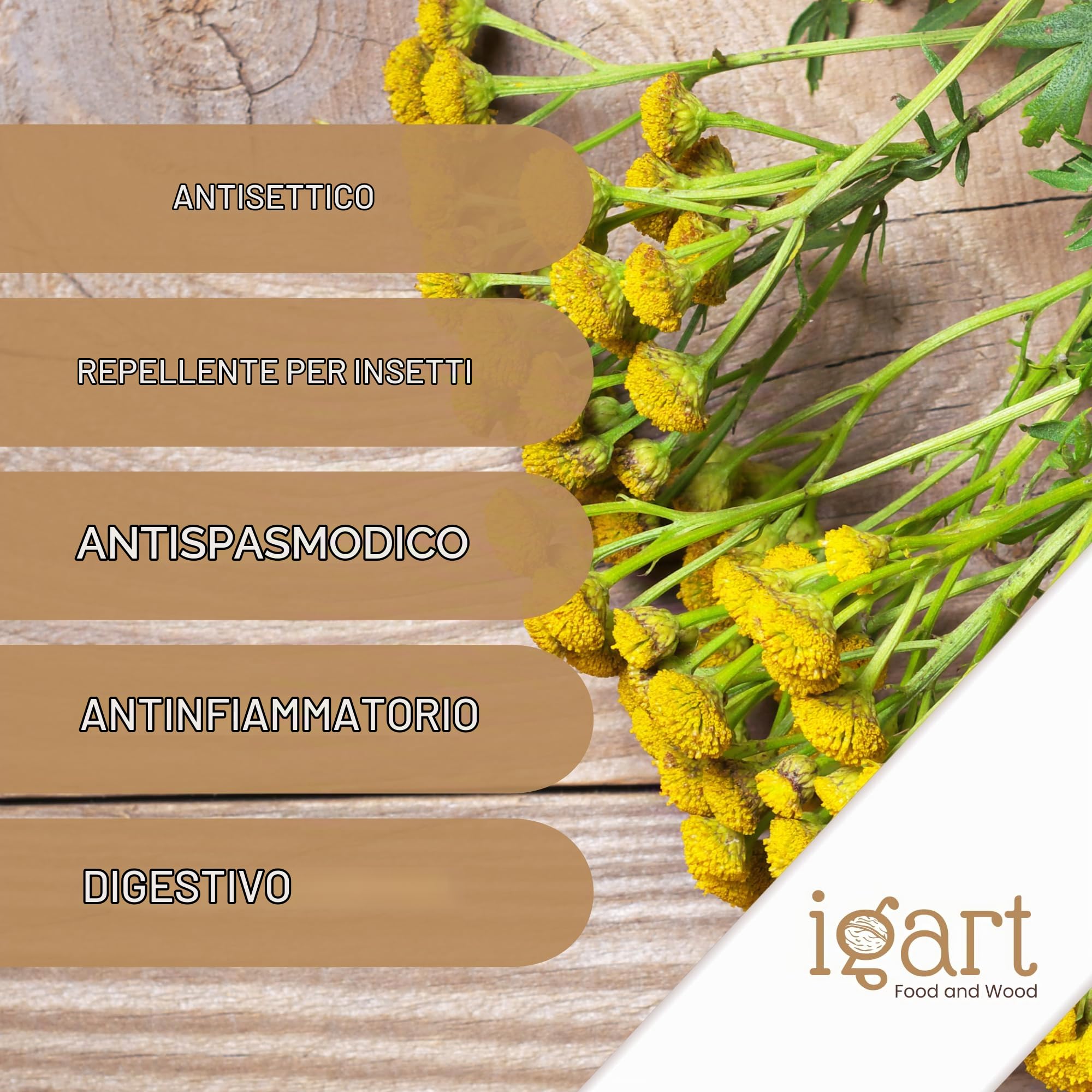 Tanaceto 100 g | Tanacetum Vulgare | Tanaceto Erba | Tanaceto secco | Biologico