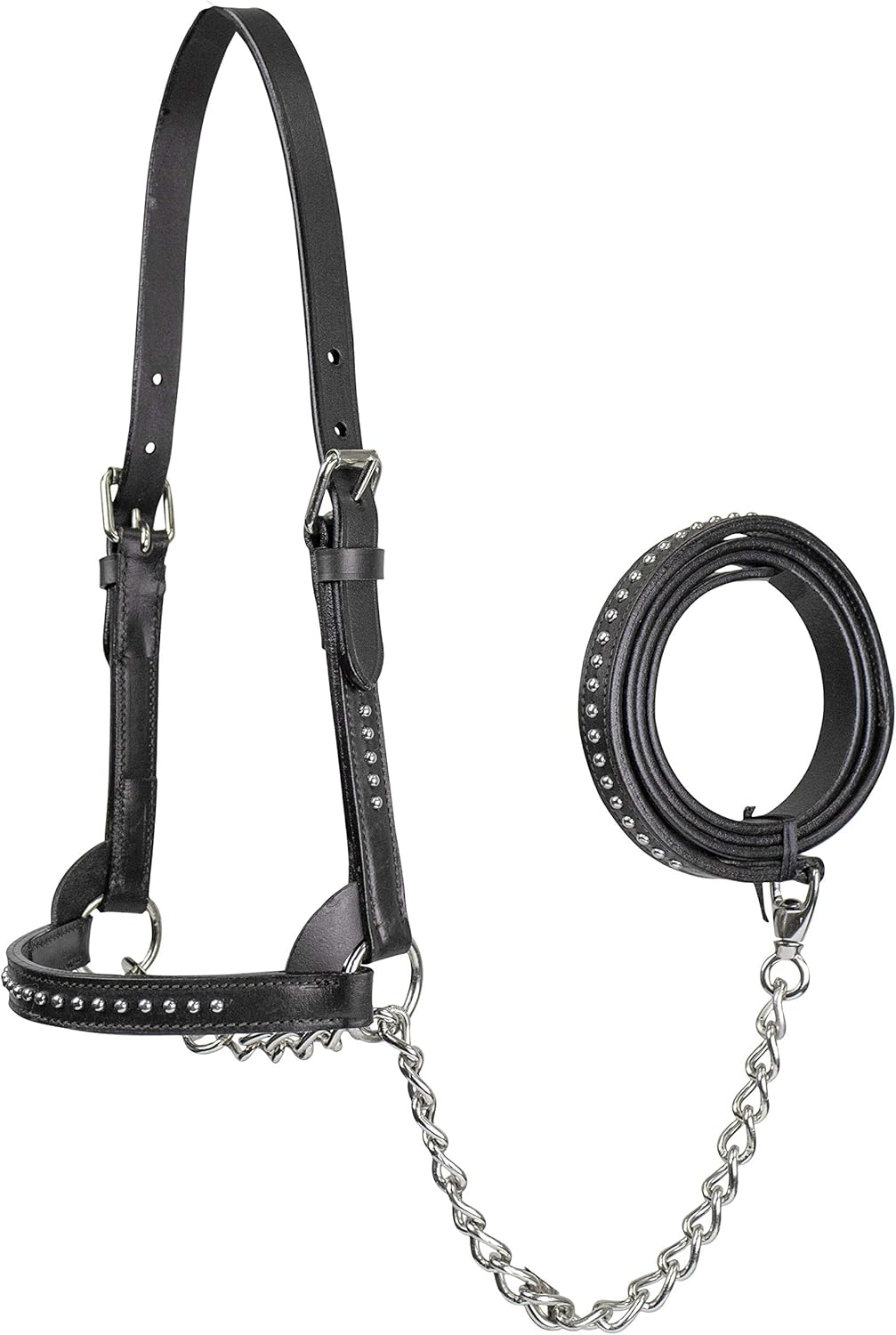Derby Originals New and Improved Premium Show Spotted Flat Leather Cattle Show Halter with Matching Chain Lead