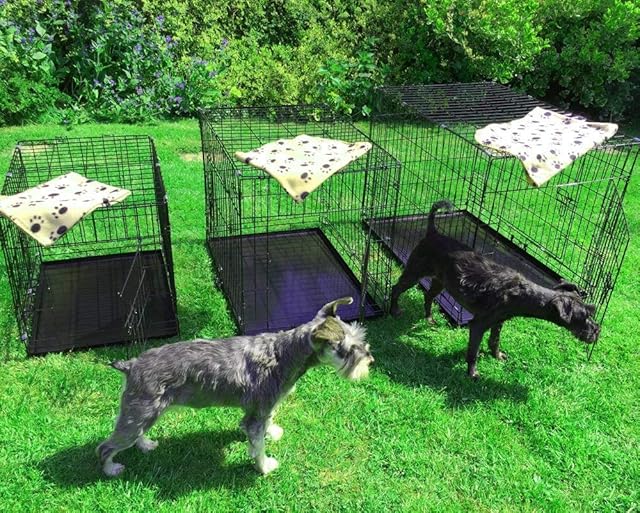 AVC Small Pet Dog Puppy Cat Metal Foldable Carry Transport Training Cage Crate (Small/Medium)