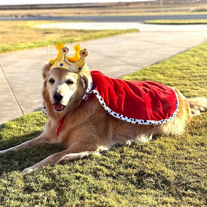 Disfraz de Rey para Perro con Capa y Corona Ajustable - Talla M miniatura 4