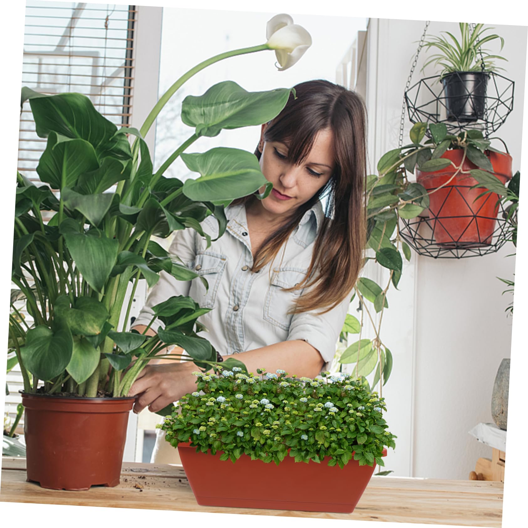 HANABASS 6pezzi Vasi in Plastica Rettangolari Rossi Per Piante Grandi Bonsai e Orto Da Interno Ed Esterno Profondi Traspiranti e Resistenti Per Balcone e Ufficio