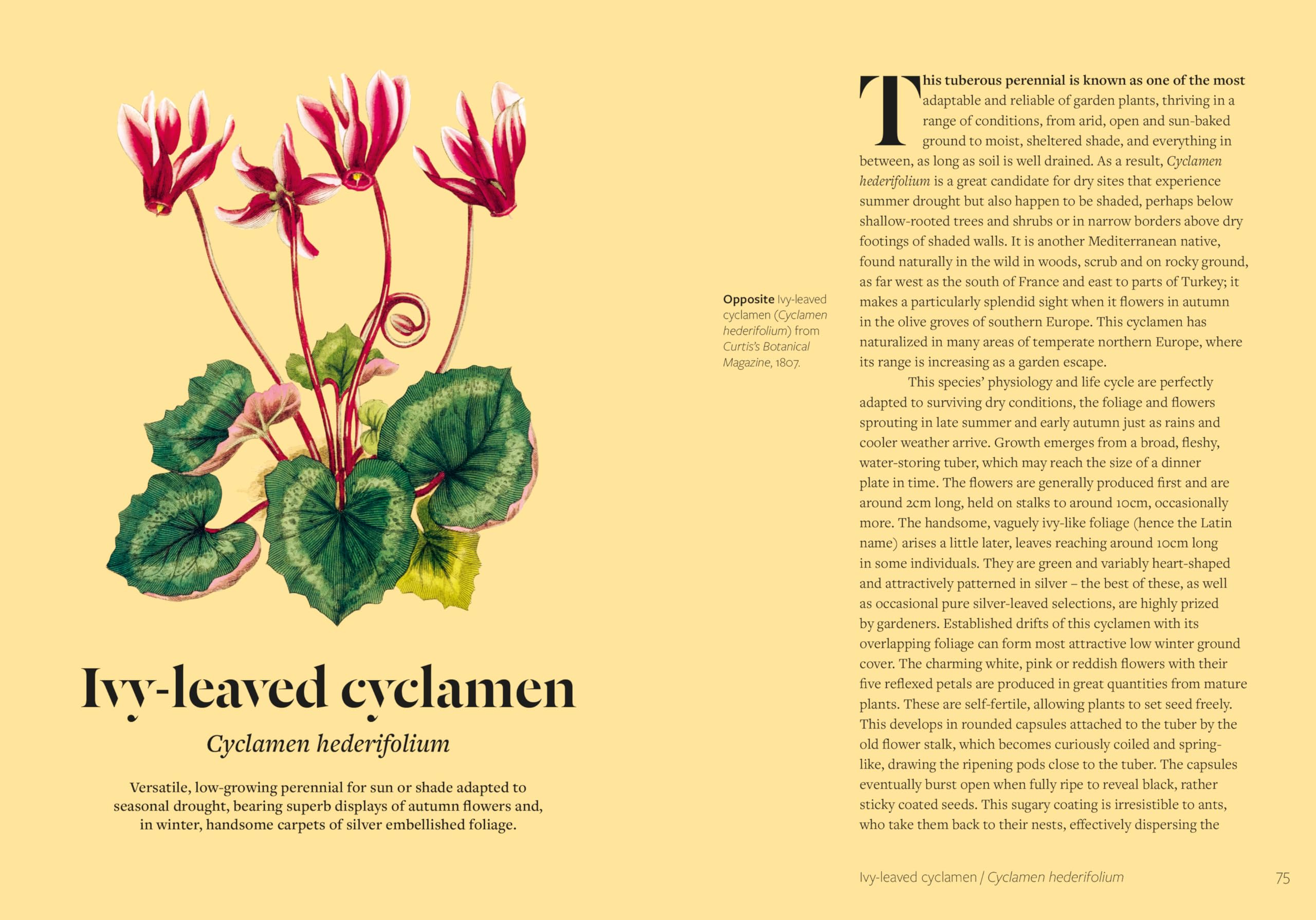 Kew - Parched: 50 Plants That Thrive and Survive in a Dry Garden