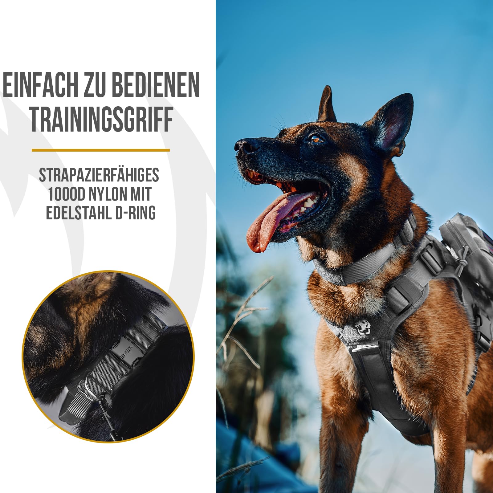 OneTigris Collare per cani con fibbia in metallo per cani (Grigio, S)