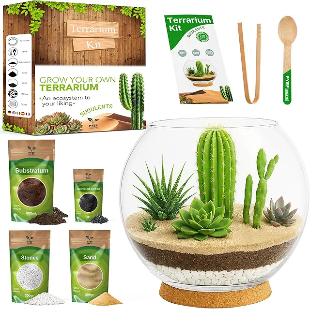 PYEF CRAFTS DIY Terrarium Set for Succulents & Cacti - 2L Glass Ecosystem
