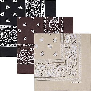 Raylarnia 100% Cotton Large Bandanas for Men and Women, 22 Inch Paisley Bandana with Multiple Colors