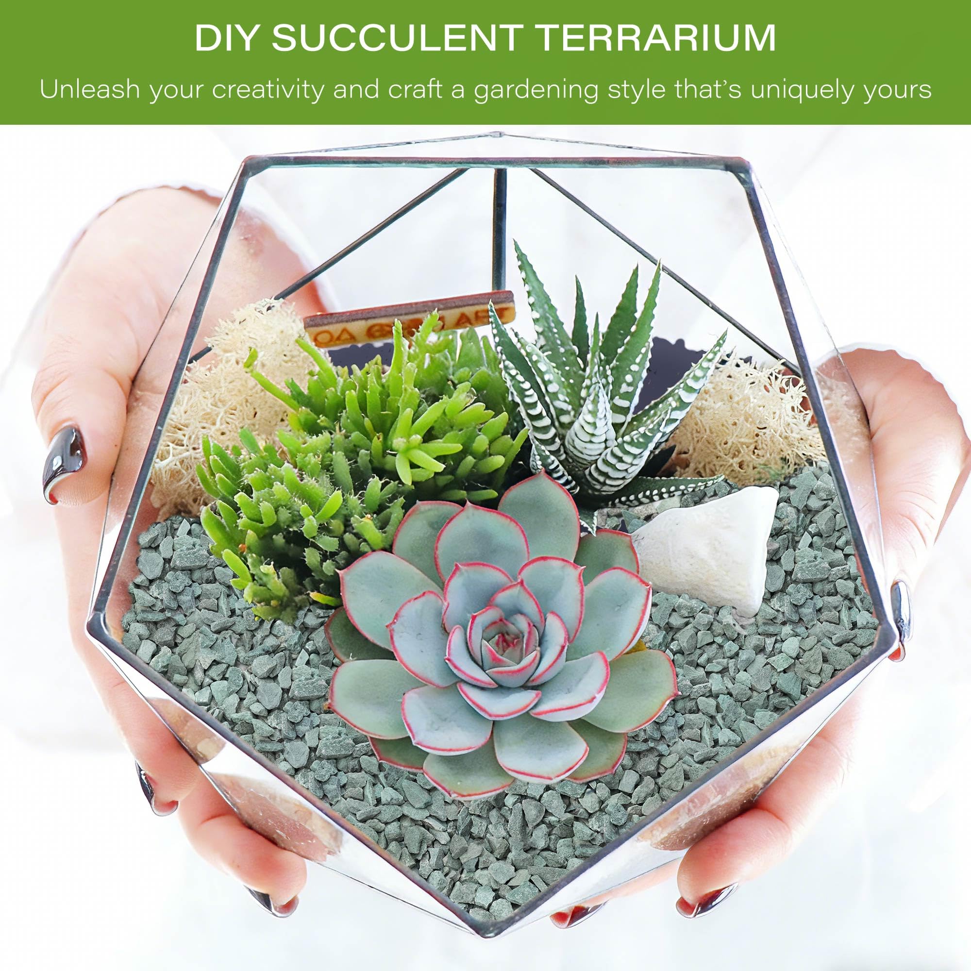 NUPICK Zeolite verde per piante, 1 cm di ghiaia per cactus