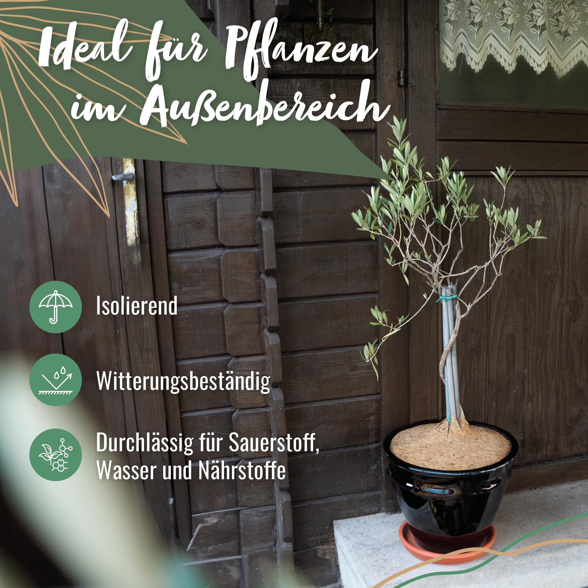ProFlora® Kokos Mulchscheibe Winterschutz - Biologisch abbaubare Kokosscheibe als Winterschutzmatte für Pflanzen (100 cm, 5 Stück)