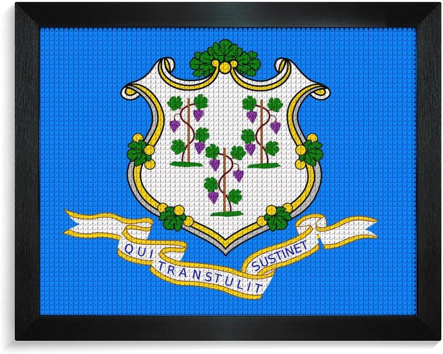 Connecticut Flag Printed Diamond 5D Painting Kits DIY Full Drill Crafts for Home Wall Decor 16x20 Inch Blackwood 50 * 40cm