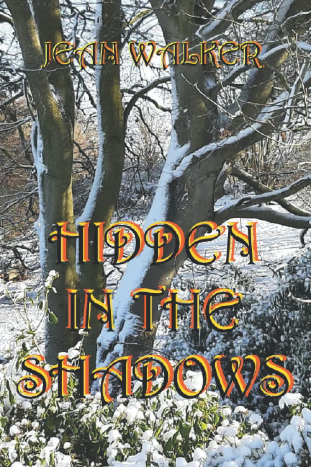 Hidden in the Shadows