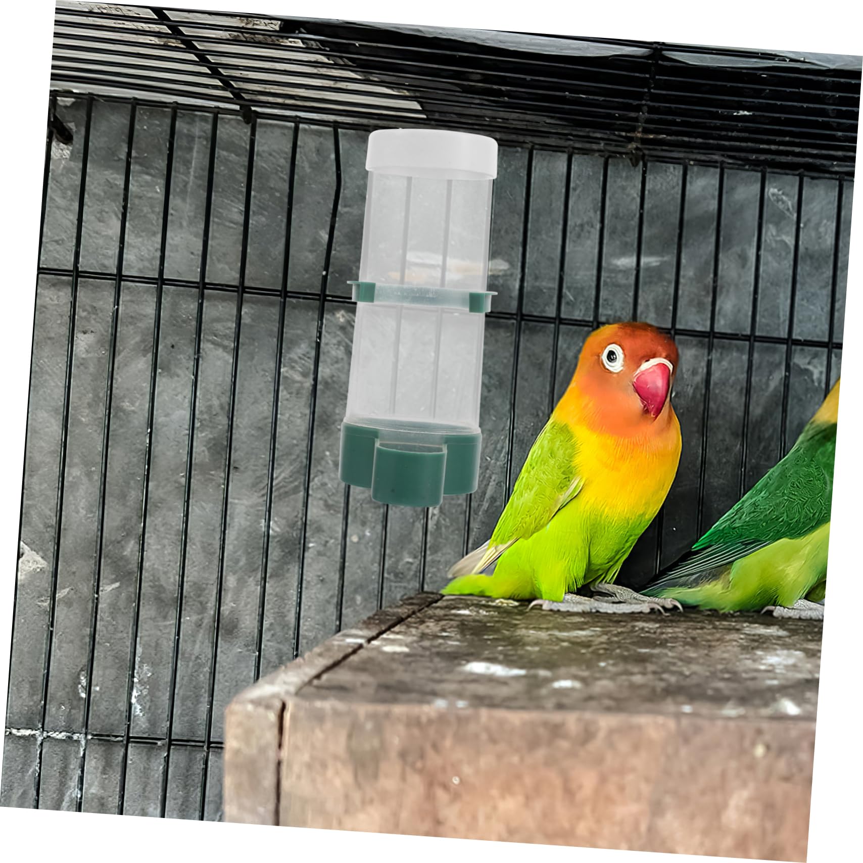 Abaodam 20stücke Automatischer Wasserspender Für Vögel Vogelkäfig Zubehör Für Wellensittiche Nymphensittiche Kanarienvögel Und Andere Haustierarten Selbstbedienbare Fütterung