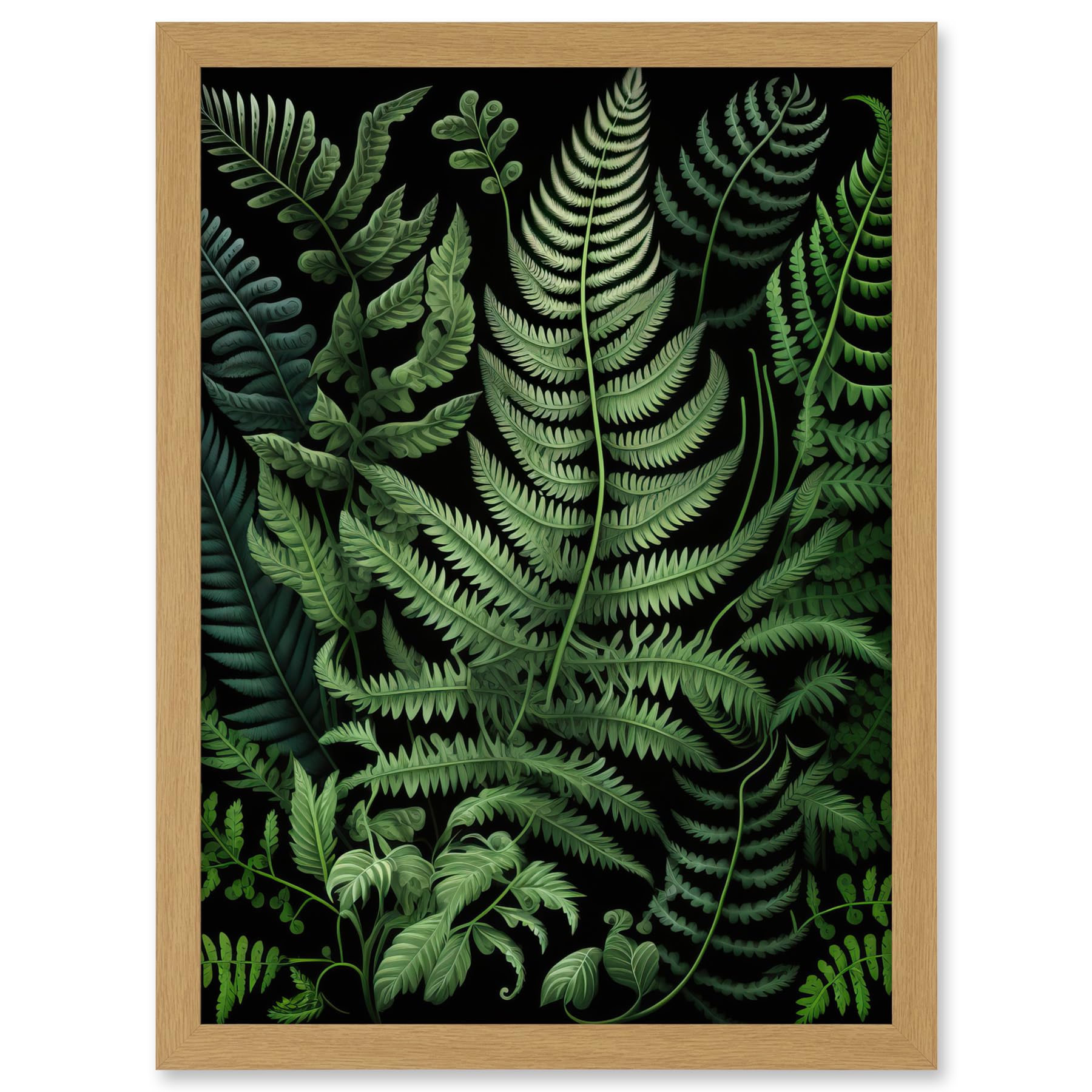 Artery8 Fern Fronds Illustration Ernst Haeckel Style Artwork Framed A3 Wall Art Print