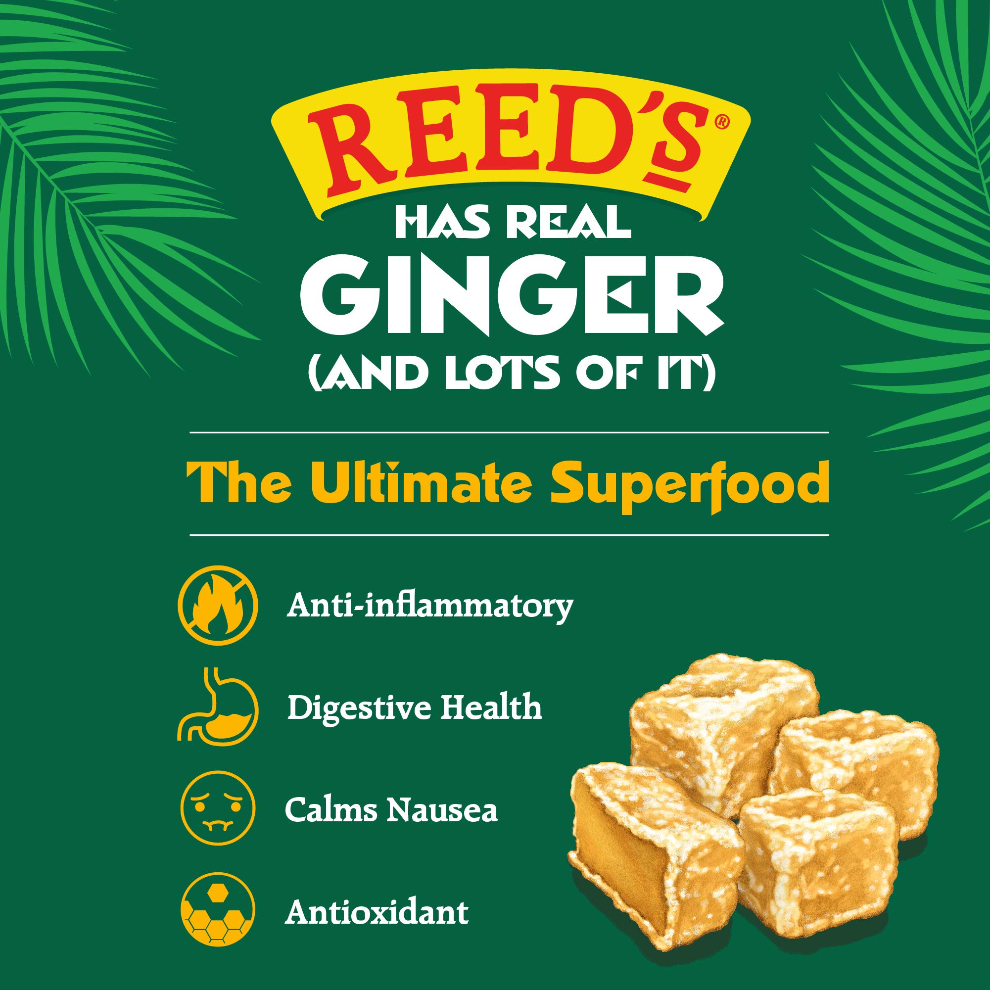 Reed's Crystallized Ginger Hard Candy -- 16 Ounce thumbnail 5