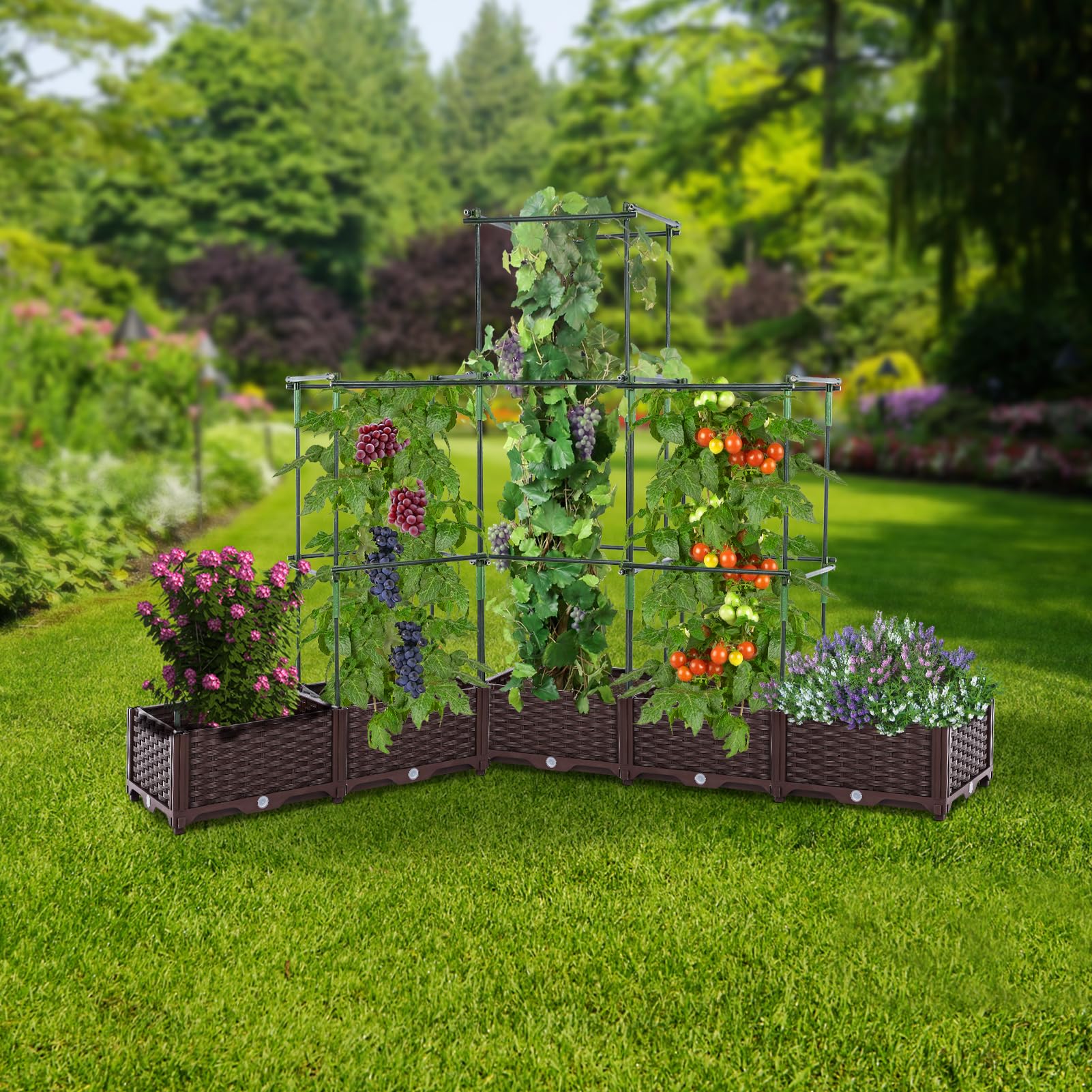Amazon.co.jp: GROWNEER 47インチ トマトケージ 植物サポートケージ