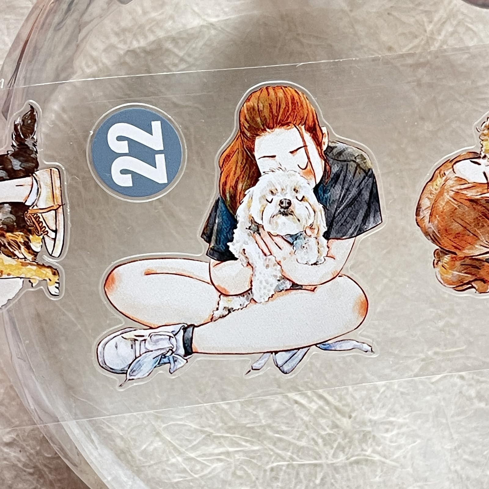 DingDing 多彩 PET クリア Amazon.com: DingDing Vol7-22 Little