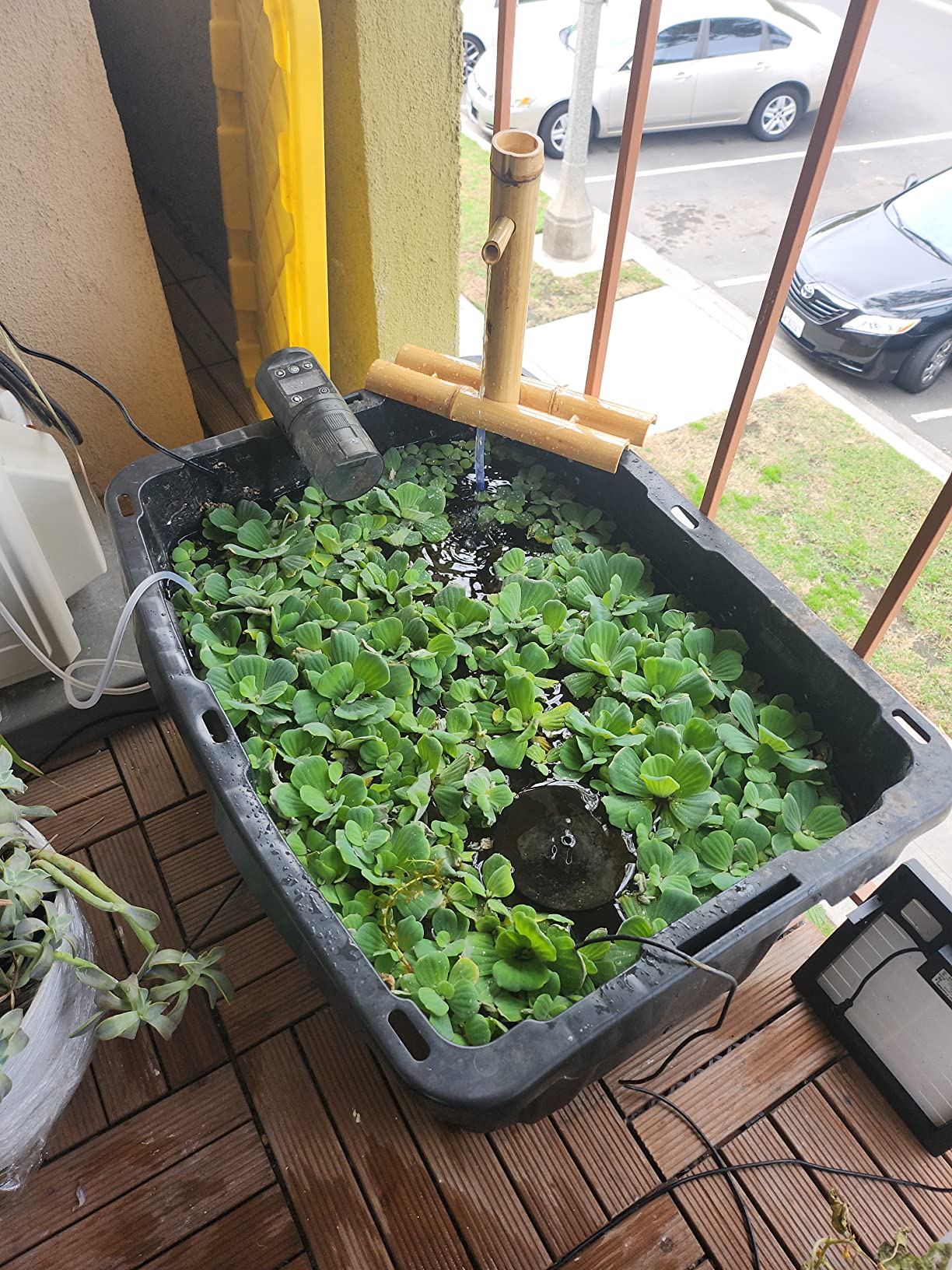 5/mo Finance foci cozi,Bamboo Water Fountain Without Pump,Water