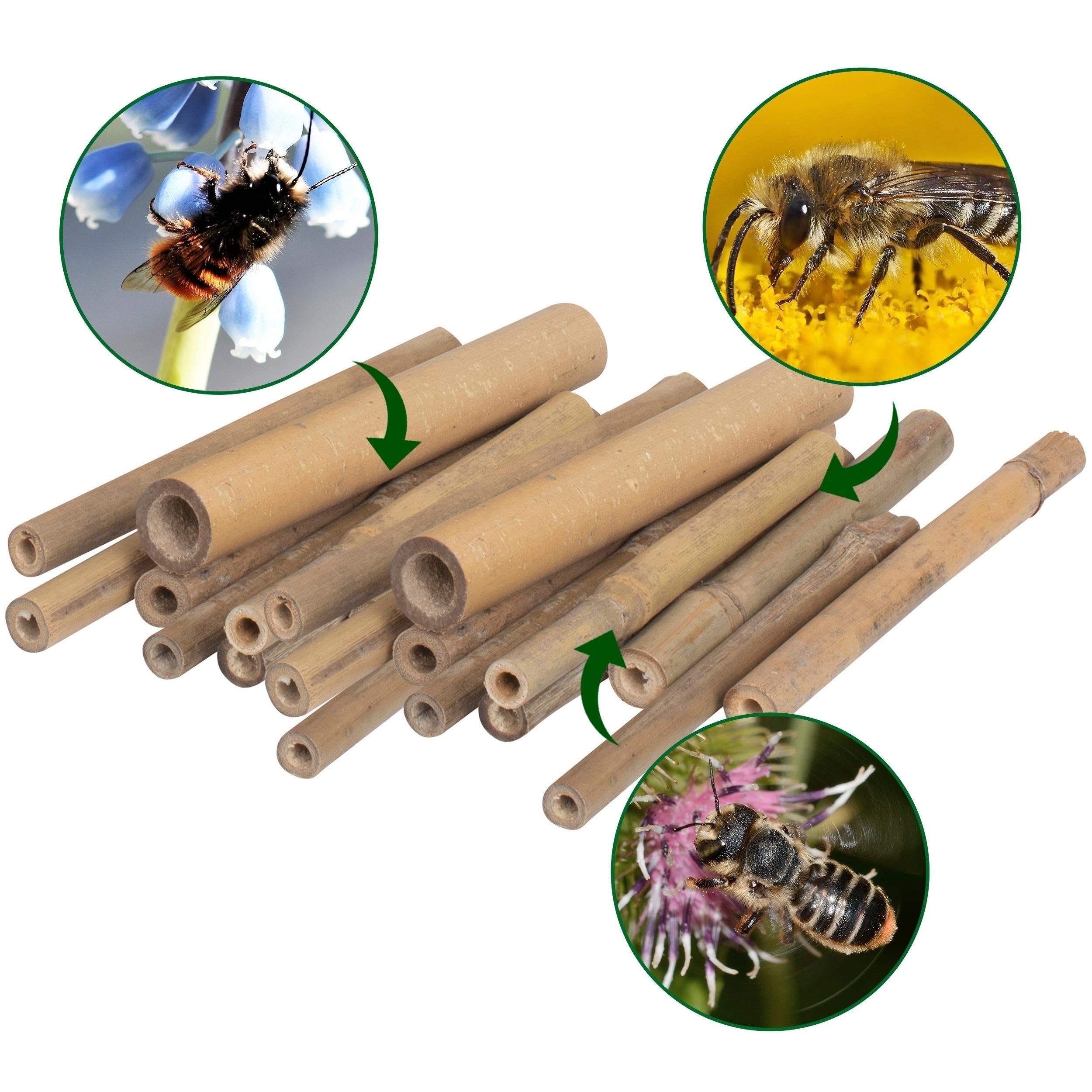 GARDIGO® Tubos de bambú para Hotel de Insectos, 150 Unidades, Tubos de anidación de bambú para Abejas Silvestres, Accesorios para casa de Insectos, Hotel de Abejas, casa de Abejas Silvestres, caña de