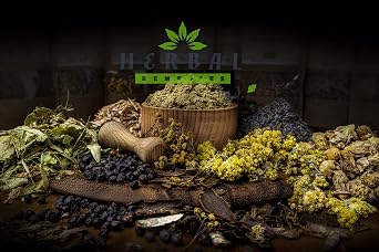 Barberry Root Tea Liver Kidney Gallbladder Urinary Tract Support Dried Herb Berberine Berberys korzen/Herbal Remedies by J. 50g
