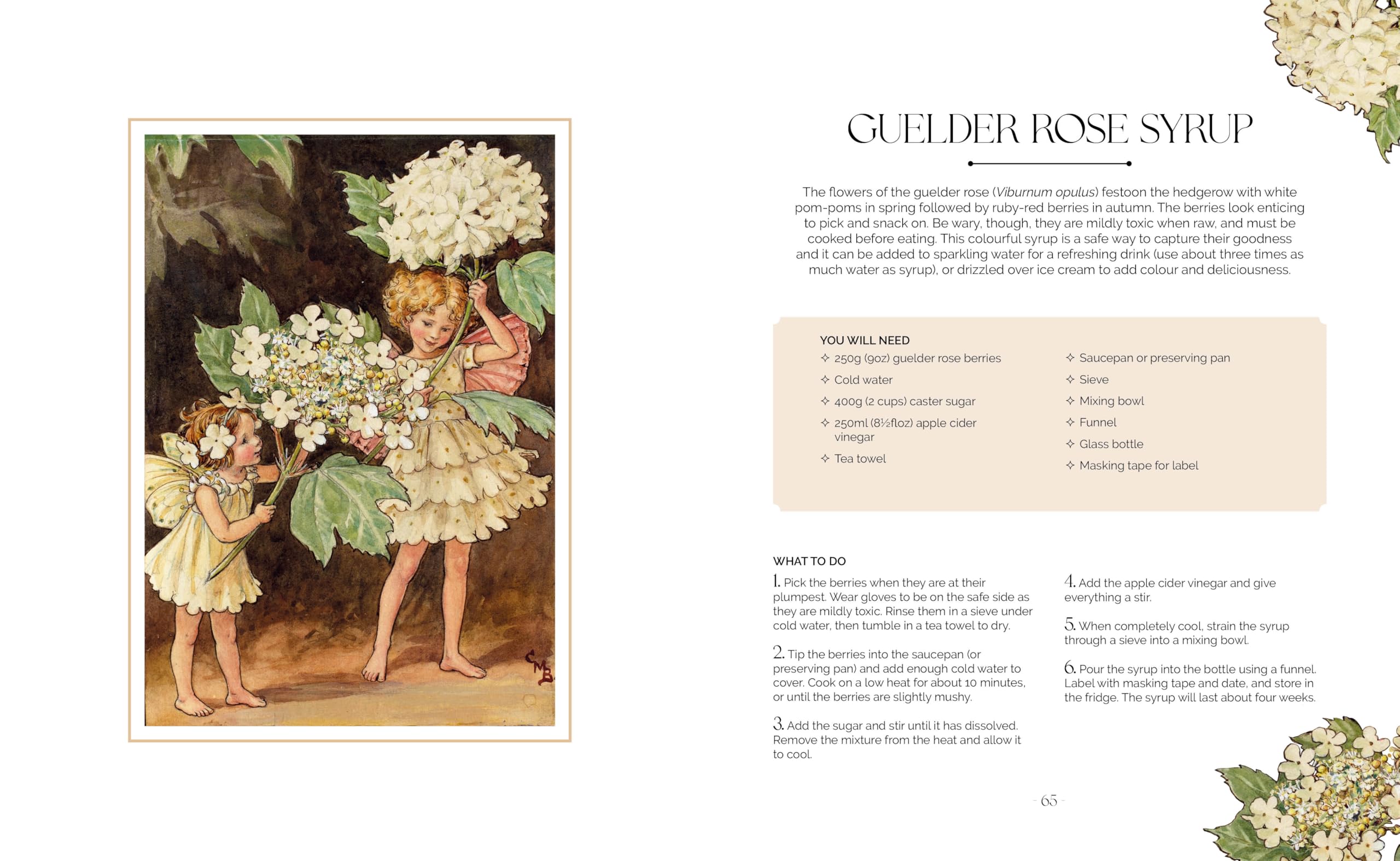 The Flower Fairies Herbal: Recipes and Remedies from the Hedgerow, Field and Forest.