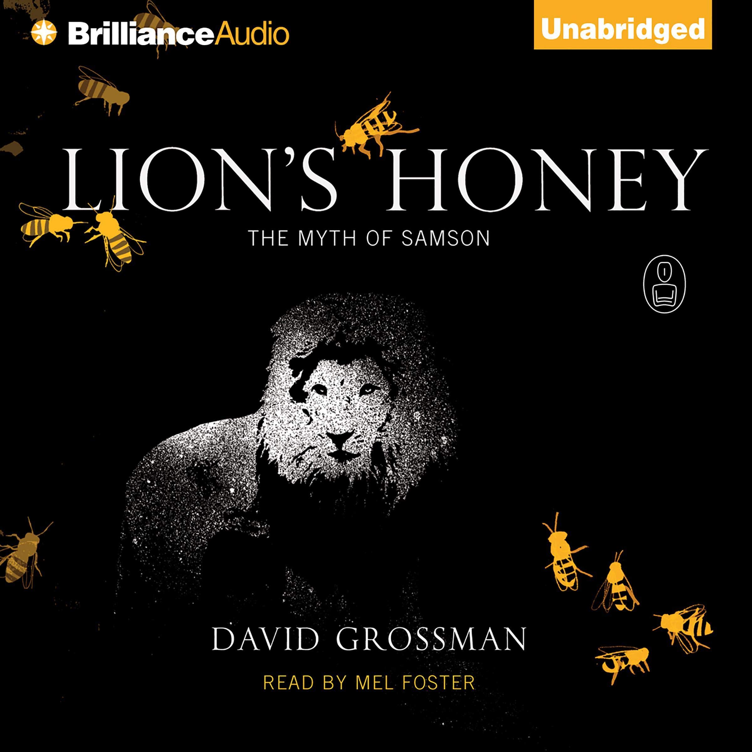 Cover art for Lion's Honey
