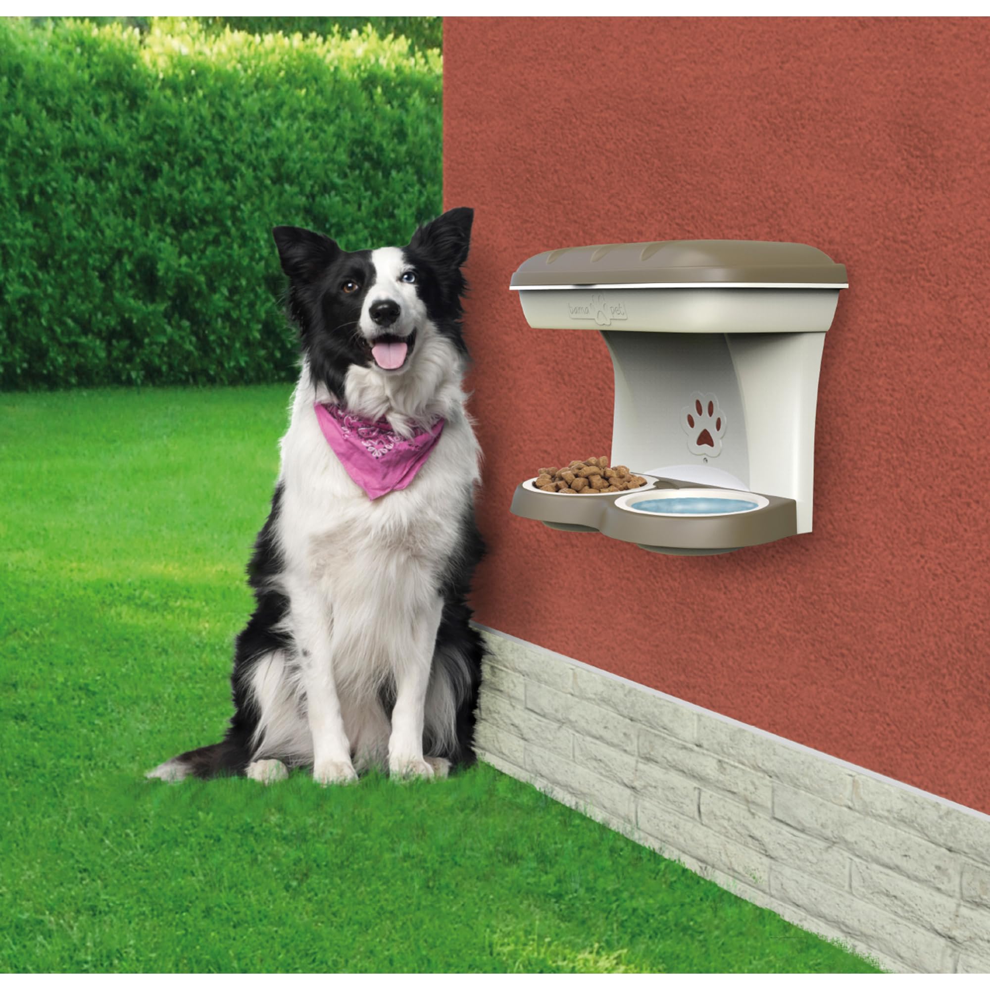 Supporto Rialzato Per Ciotole Pet Bama - Alzavivande Medio Verde Per Cani - Foto 5