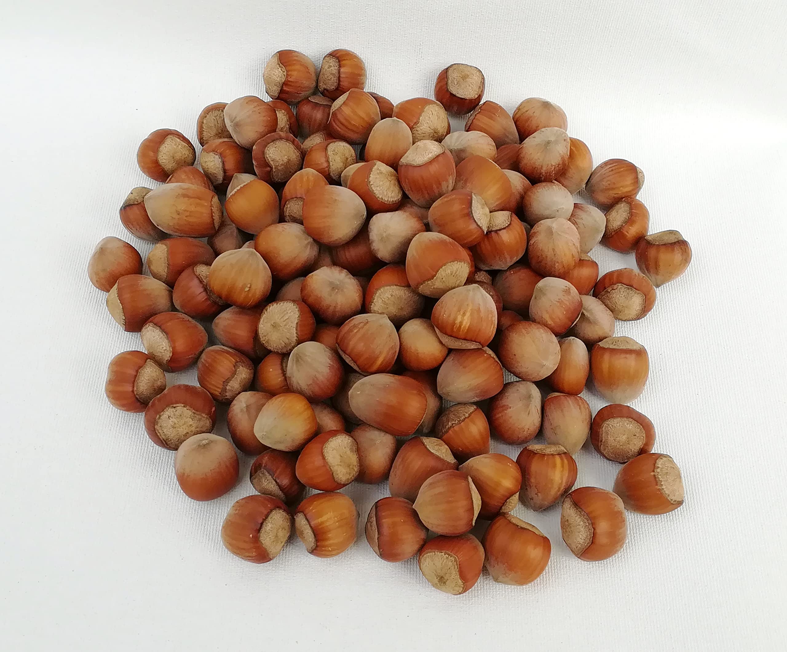 IGART FOOD & WOOD Naturbelassene Haselnüsse in der Schale 100% Rohkost & Frisch Polnische Eco-Qualität für Snack Müsli Salat, 10kg