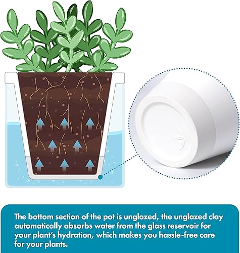 Miniatura 4 de D'vine Dev Maceta de riego automático de 4 pulgadas para plantas de interior, macetas de terracota blanca con taza cilíndrica de vidrio, juego de 1,