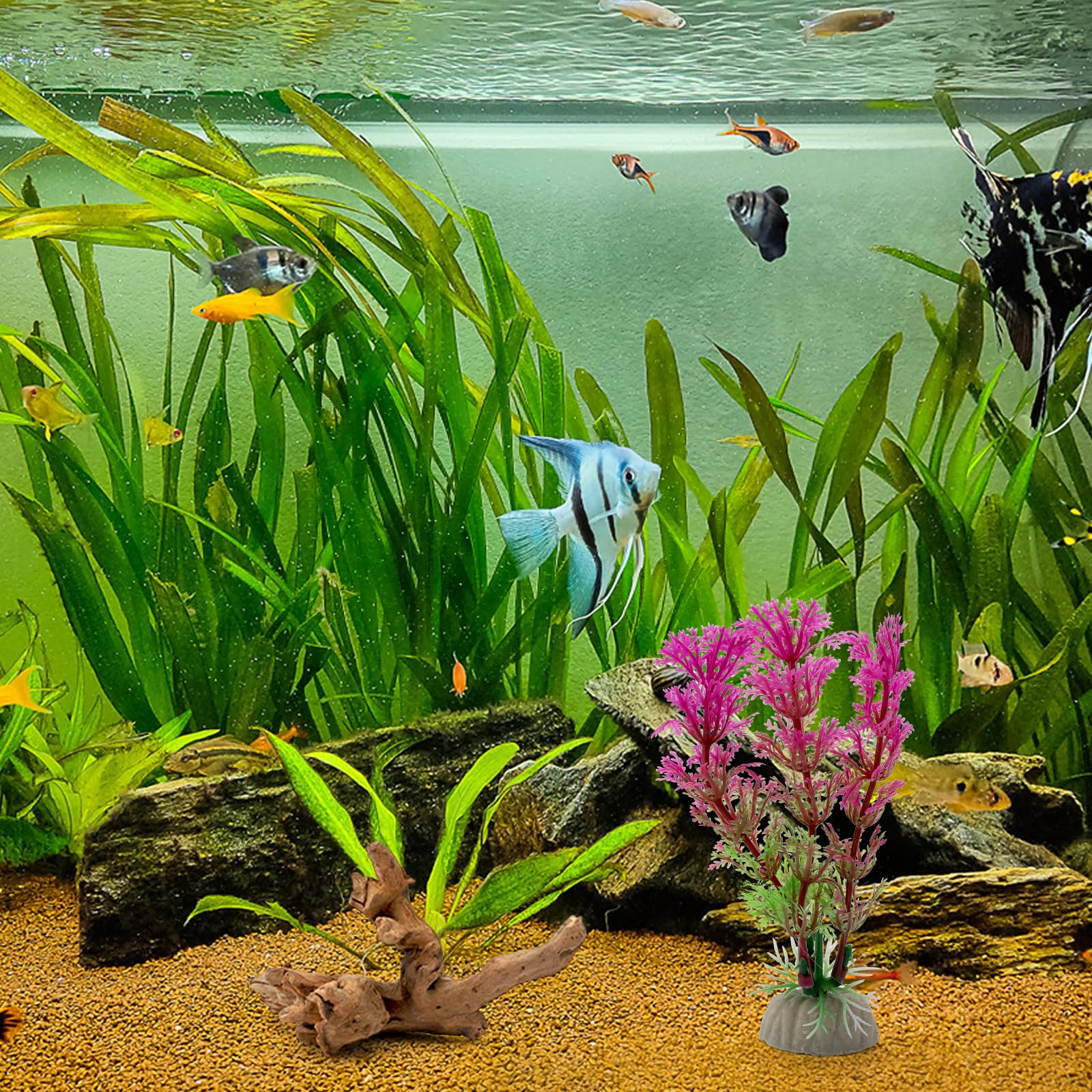 6 pezzi piccoli legni naturali e piante acquatiche simulate per acquari, legni naturali e rami, legno per acquari, decorazione di rami per bacini rettili, terrario (10-15 cm)