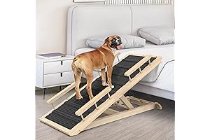 Portable Dog Ramp with Side Rails for Small & Large Dogs & Cats