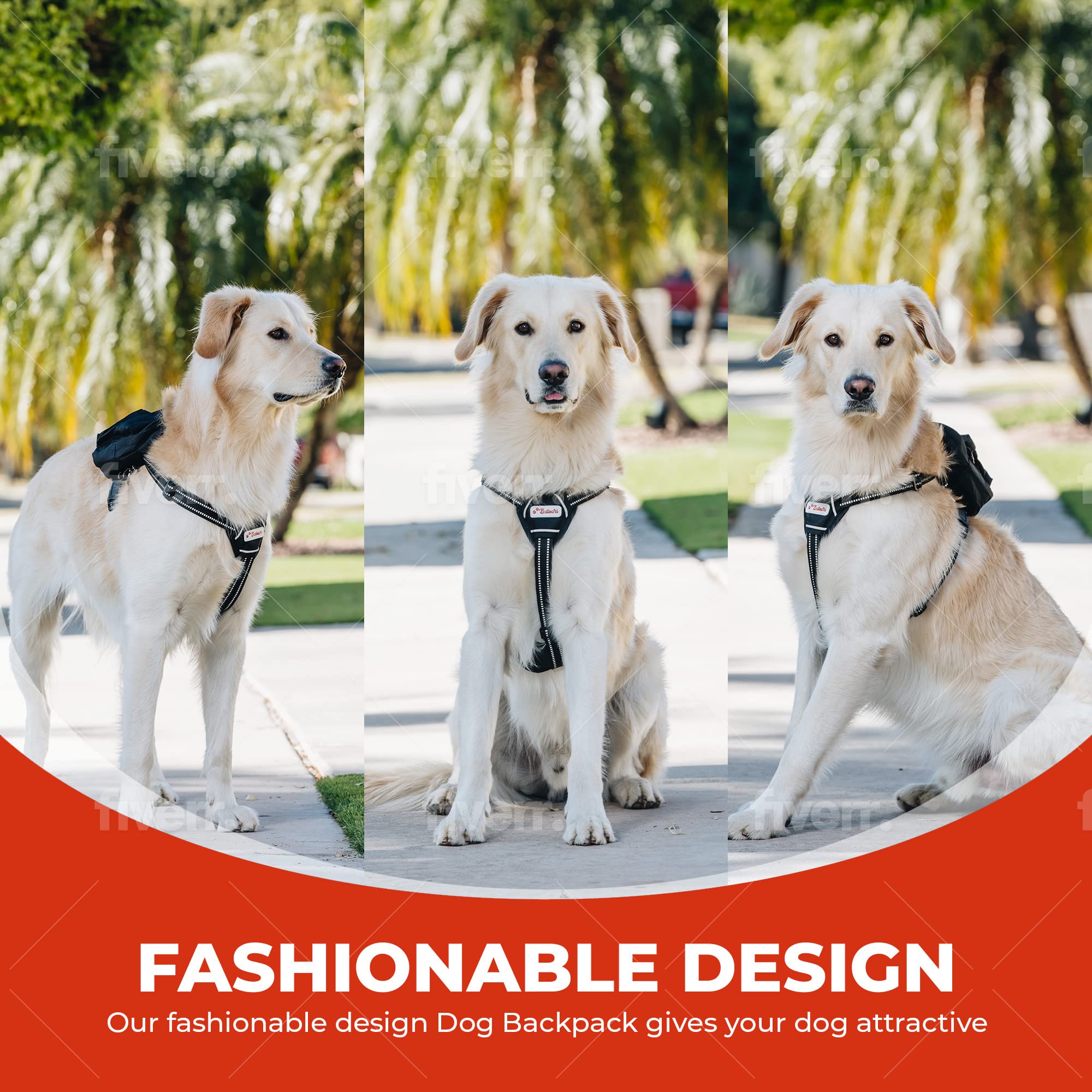 Outdoor Dog Treat Station Ultimate Dog Travel Bundle - Large 7