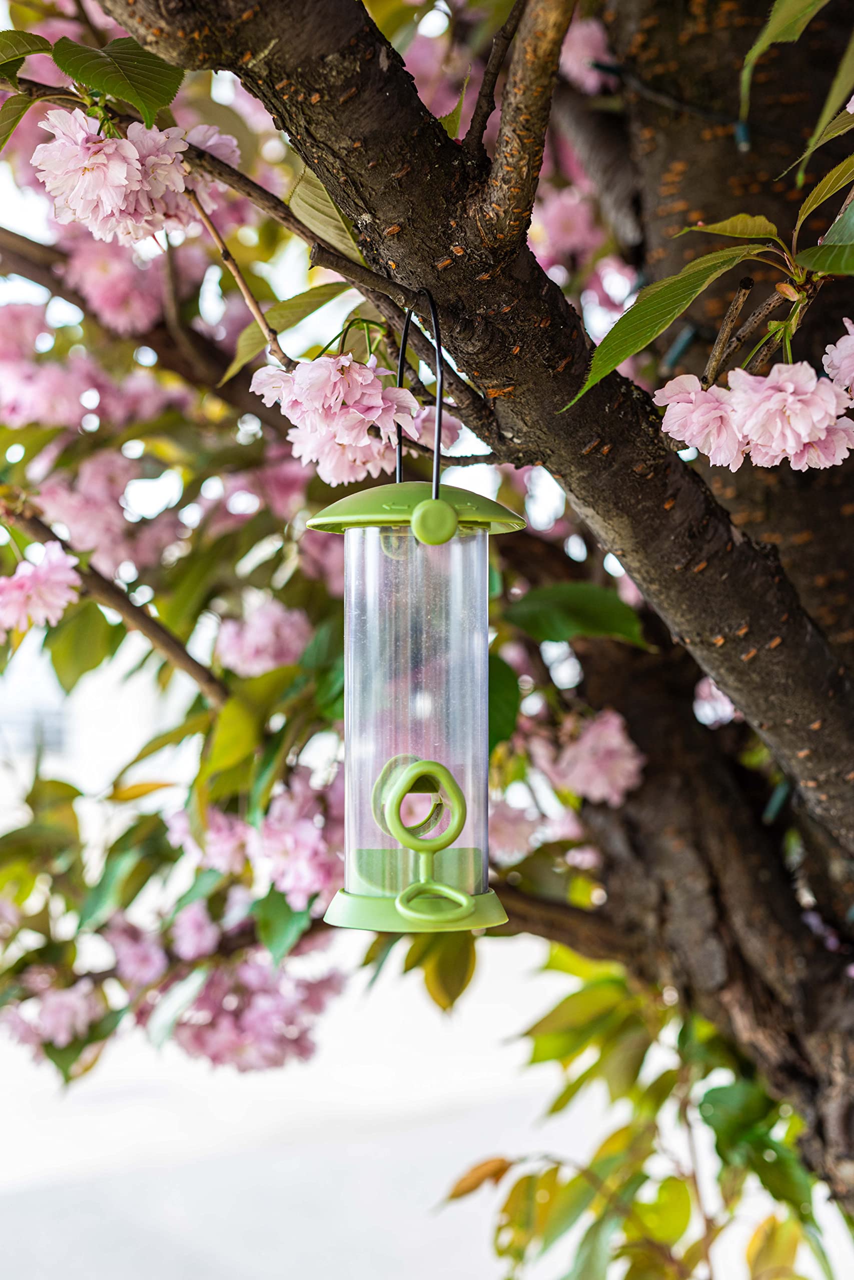Garden Mile Blue,Green 20Cm Twist Top Bird Feeder Hanging Caged Bird Feeder Garden Outdoor Wild Bird Feeding Station Suitable For Bird Seeds, Peanuts, Suet Nuts, Fat Balls Guard Feeder (Seed Feeder)